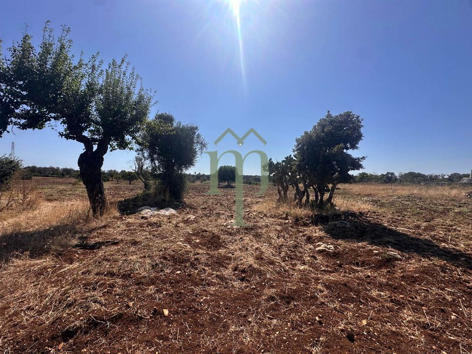 Ruinere i Carovigno, Brindisi - foto 5